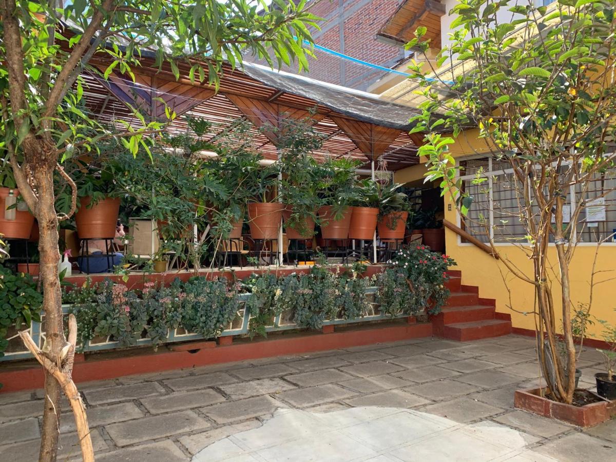 Habitaciones Betito มาซามิตลา ภายนอก รูปภาพ